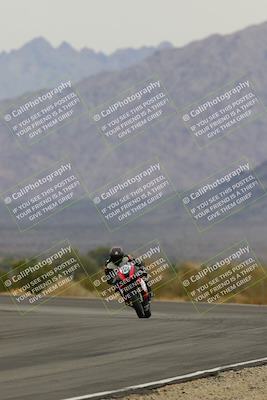 media/Jan-14-2023-SoCal Trackdays (Sat) [[497694156f]]/Turn 3 Exit-Wheelie Bump (1150am)/